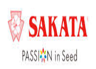 sakata